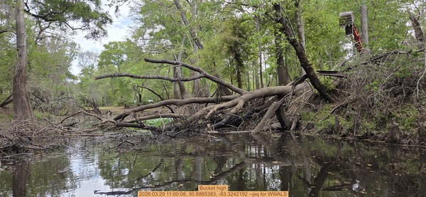 Bucket high, 2026:03:29 11:00:08, 30.8865383, -83.3242192 --jsq for WWALS