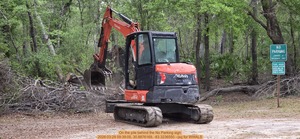 [On the pile behind the No Parking sign, 2026:03:29 09:39:05, 30.8876169, -83.3236550 --jsq for WWALS]