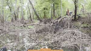 [Movie: There it goes, 2026:03:29 11:15:14, 30.8865738, -83.3242308 (17M) --jsq for WWALS]