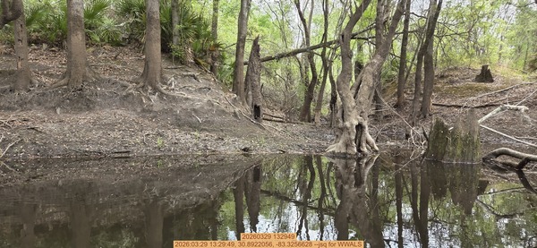 20260329 132949, 2026:03:29 13:29:49, 30.8922056, -83.3256628 --jsq for WWALS