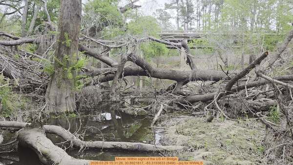 Movie: Within sight of the US 41 Bridge, 2026:03:29 15:31:26, 30.8921817, -83.3193633 (84M) --jsq for WWALS