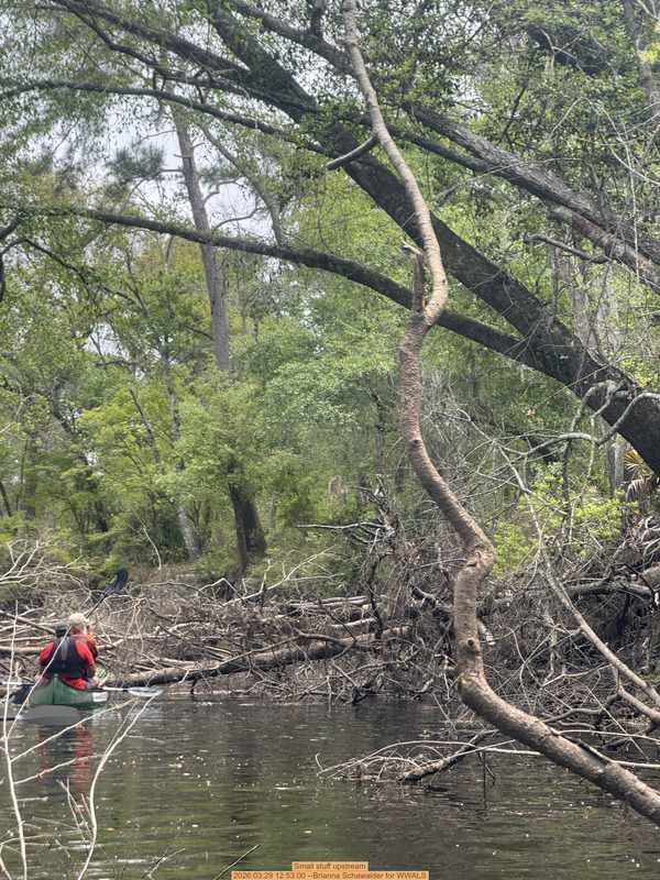 Small stuff upstream, 2026:03:29 12:53:00 --Brianna Schawalder for WWALS