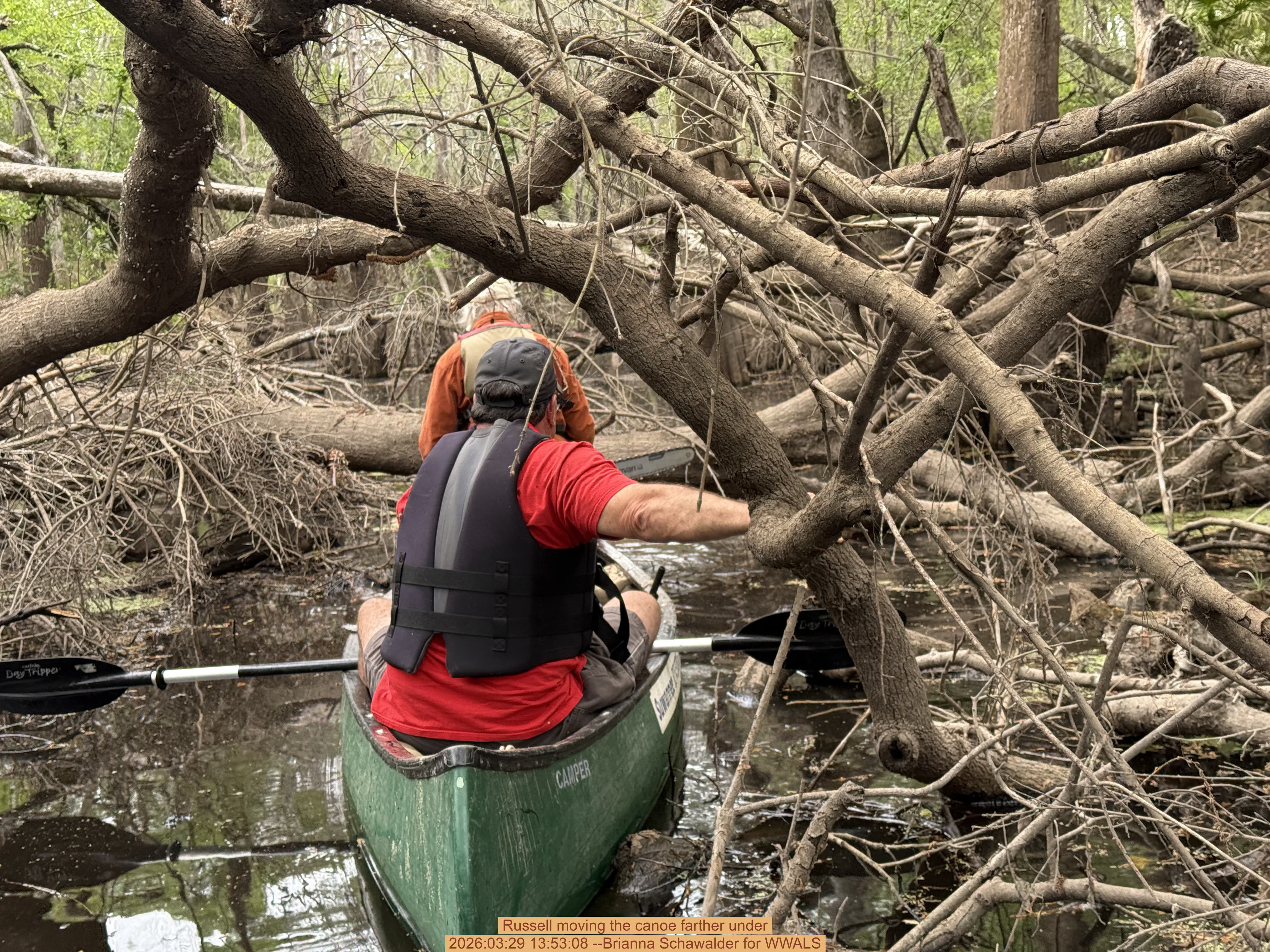 Russell moving the canoe farther under, 2026:03:29 13:53:08 --Brianna Schawalder for WWALS
