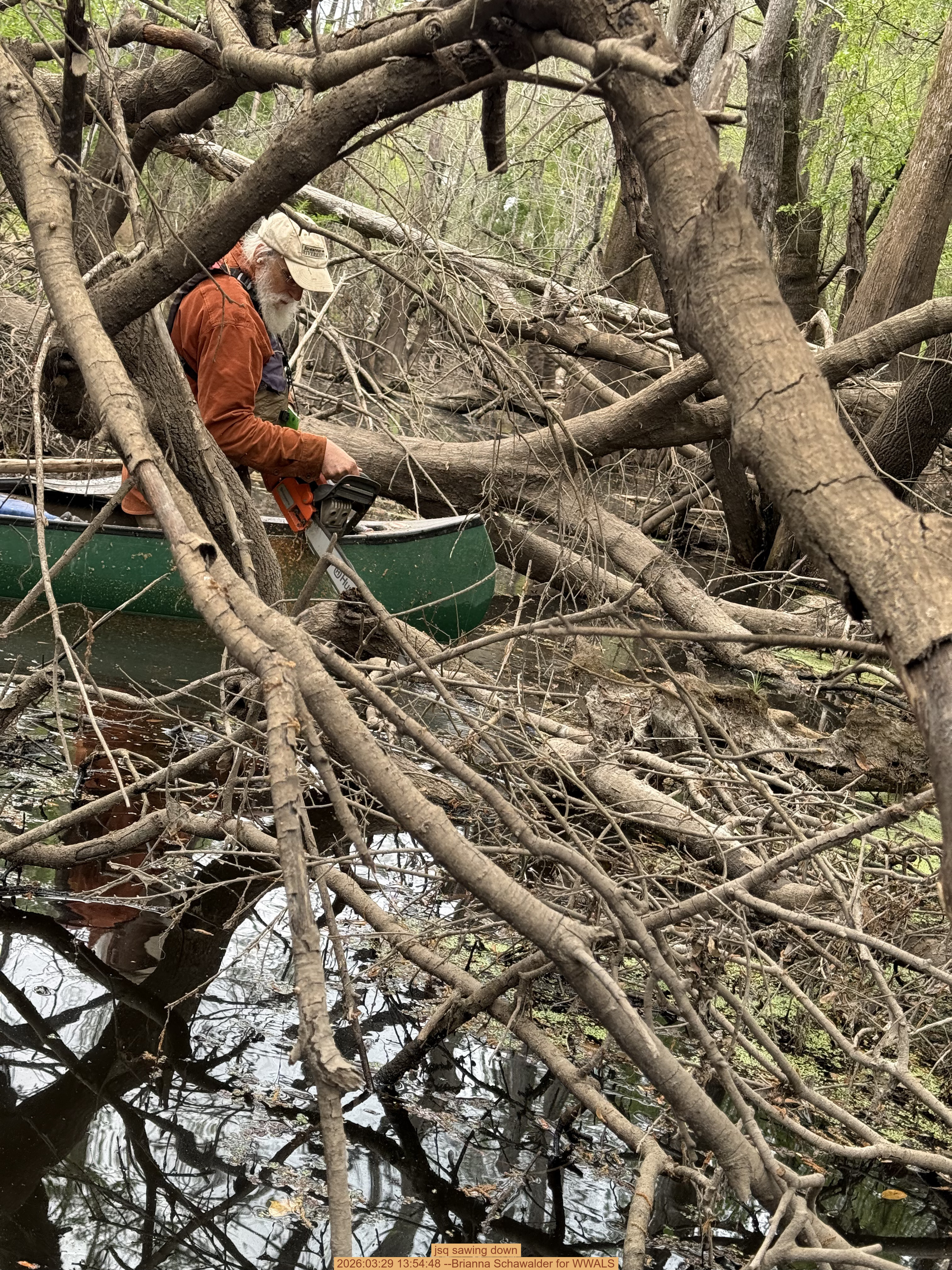 jsq sawing down, 2026:03:29 13:54:48 --Brianna Schawalder for WWALS
