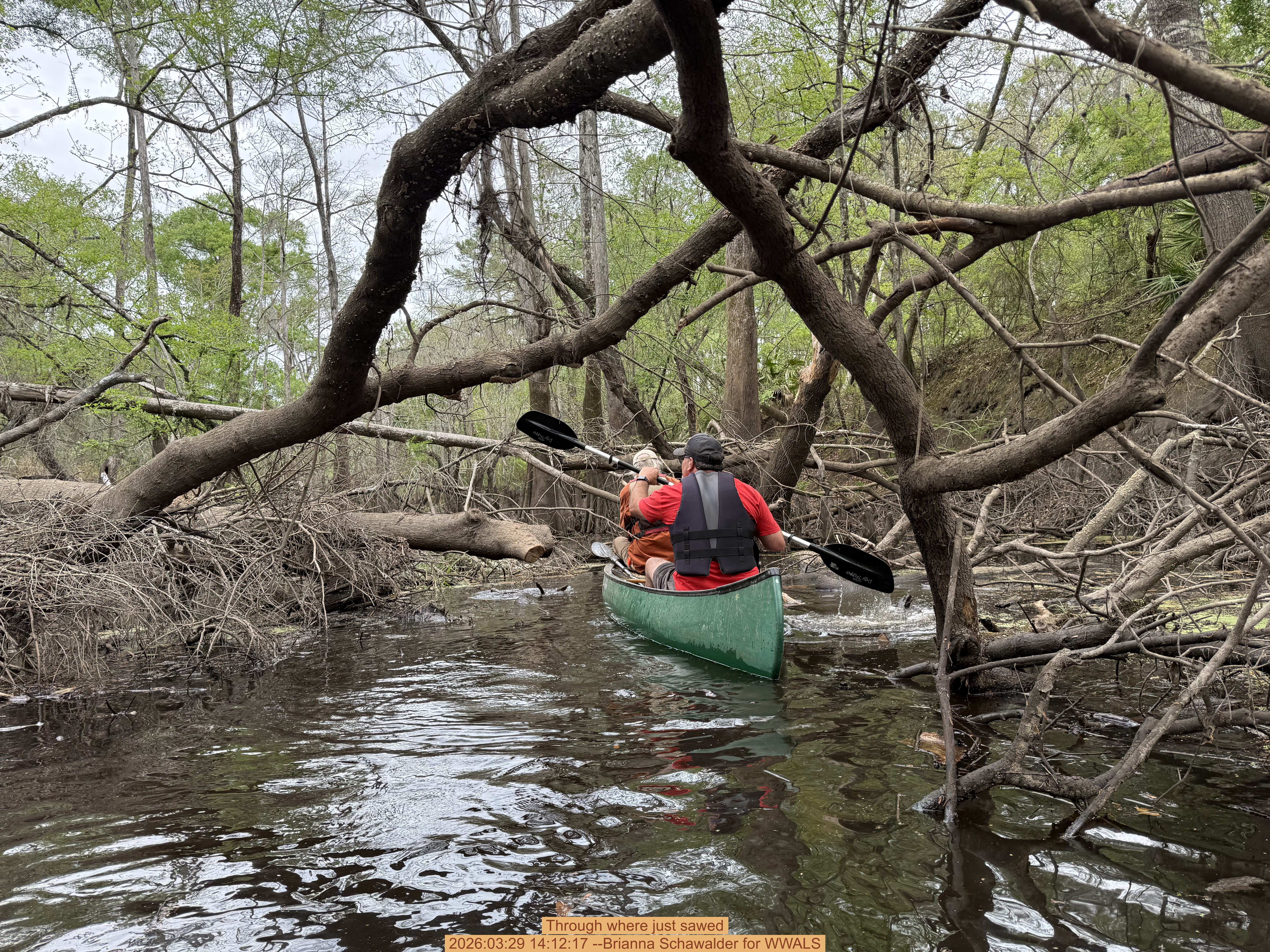 Through where just sawed, 2026:03:29 14:12:17 --Brianna Schawalder for WWALS