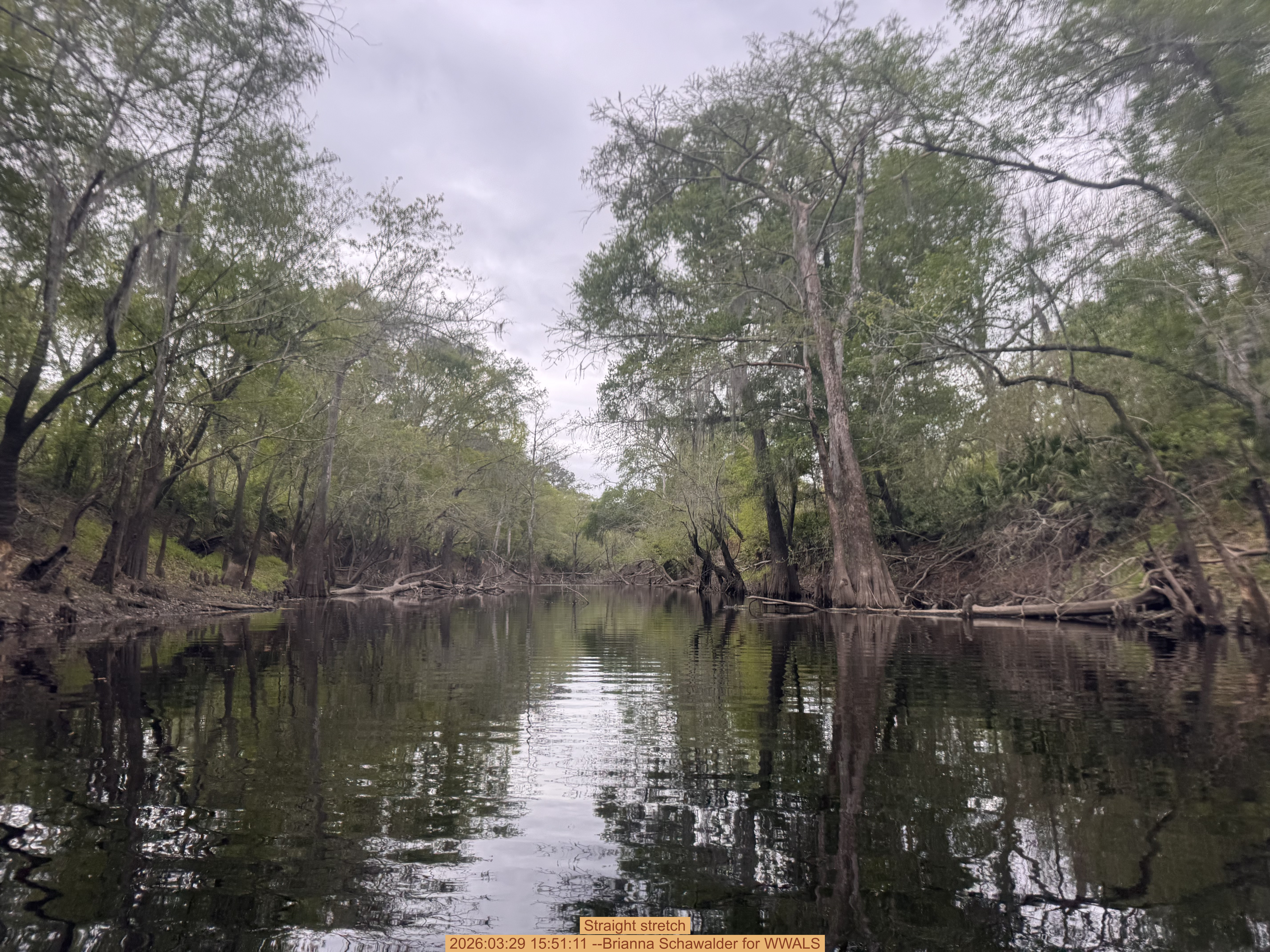 Straight stretch, 2026:03:29 15:51:11 --Brianna Schawalder for WWALS