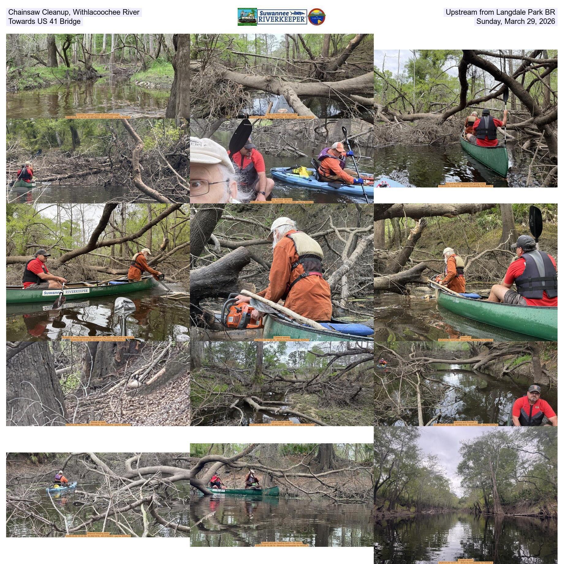 Chainsaw Cleanup, Withlacoochee River, Upstream from Langdale Park BR, Towards US 41 Bridge, Sunday, March 29, 2026