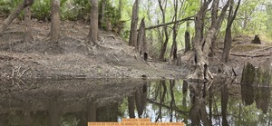 [20260329 132950, 2026:03:29 13:29:50, 30.8896372, -83.3218182 --jsq for WWALS]