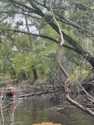 [Small stuff upstream, 2026:03:29 12:53:00 --Brianna Schawalder for WWALS]