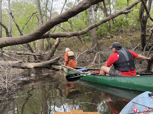 [Sawed that off, 2026:03:29 14:05:29 --Brianna Schawalder for WWALS]