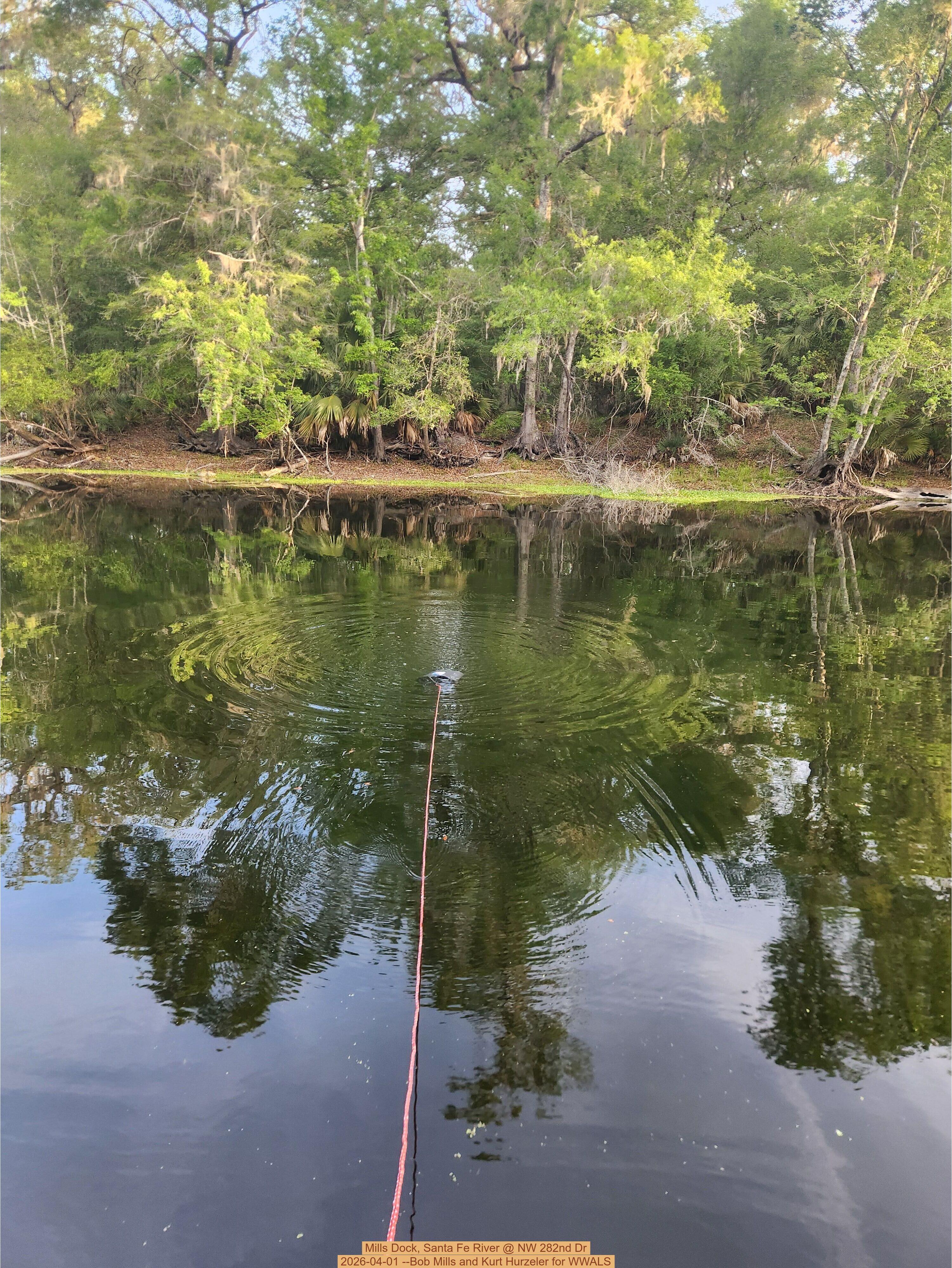 Mills Dock, Santa Fe River @ NW 282nd Dr 2026-04-01 --Bob Mills and Kurt Hurzeler for WWALS