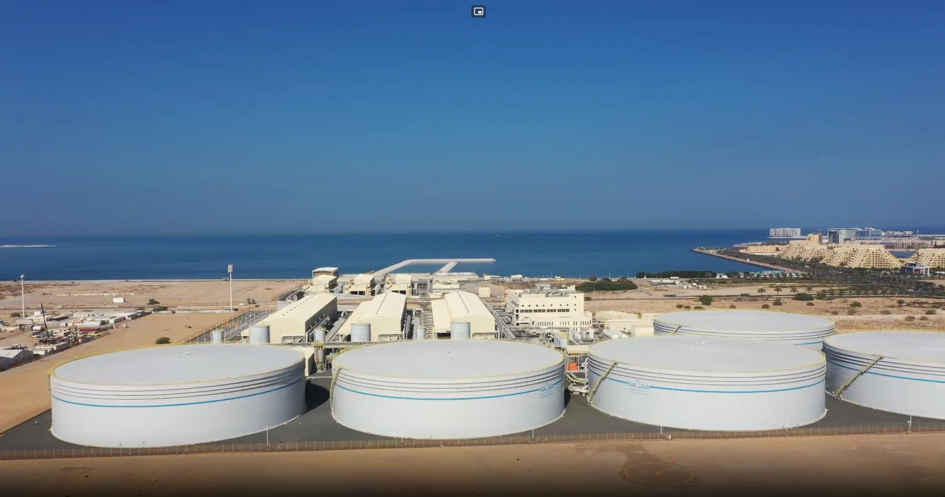 Plant 2026-03-25 --Naqaa