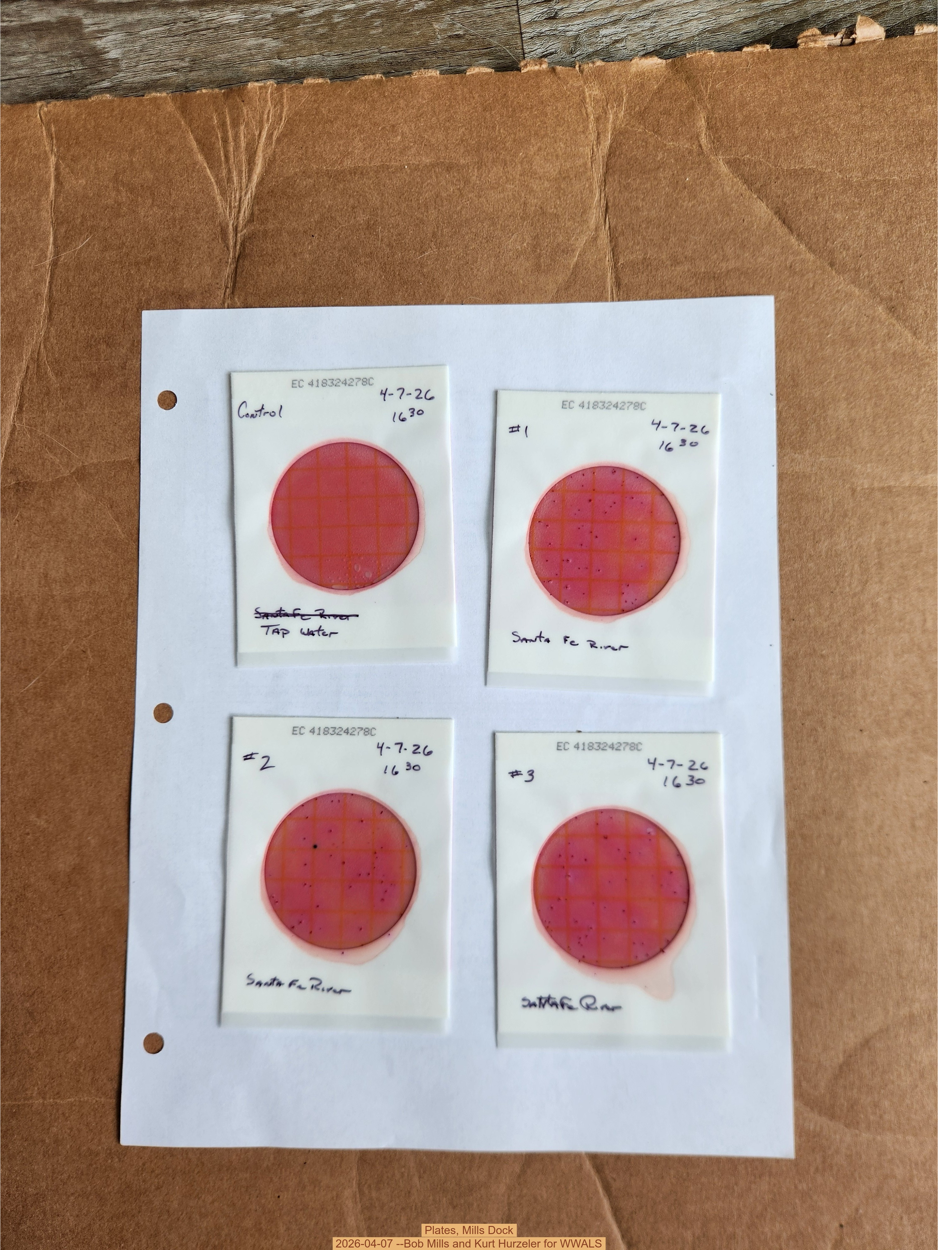 Plates, Mills Dock 2026-04-07 --Bob Mills and Kurt Hurzeler for WWALS