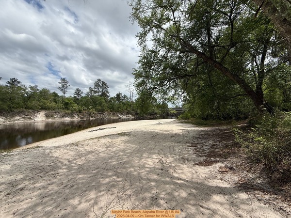 [Naylor Park Beach, Alapaha River @ US 84 2026-04-09 --Kim Tanner for WWALS]
