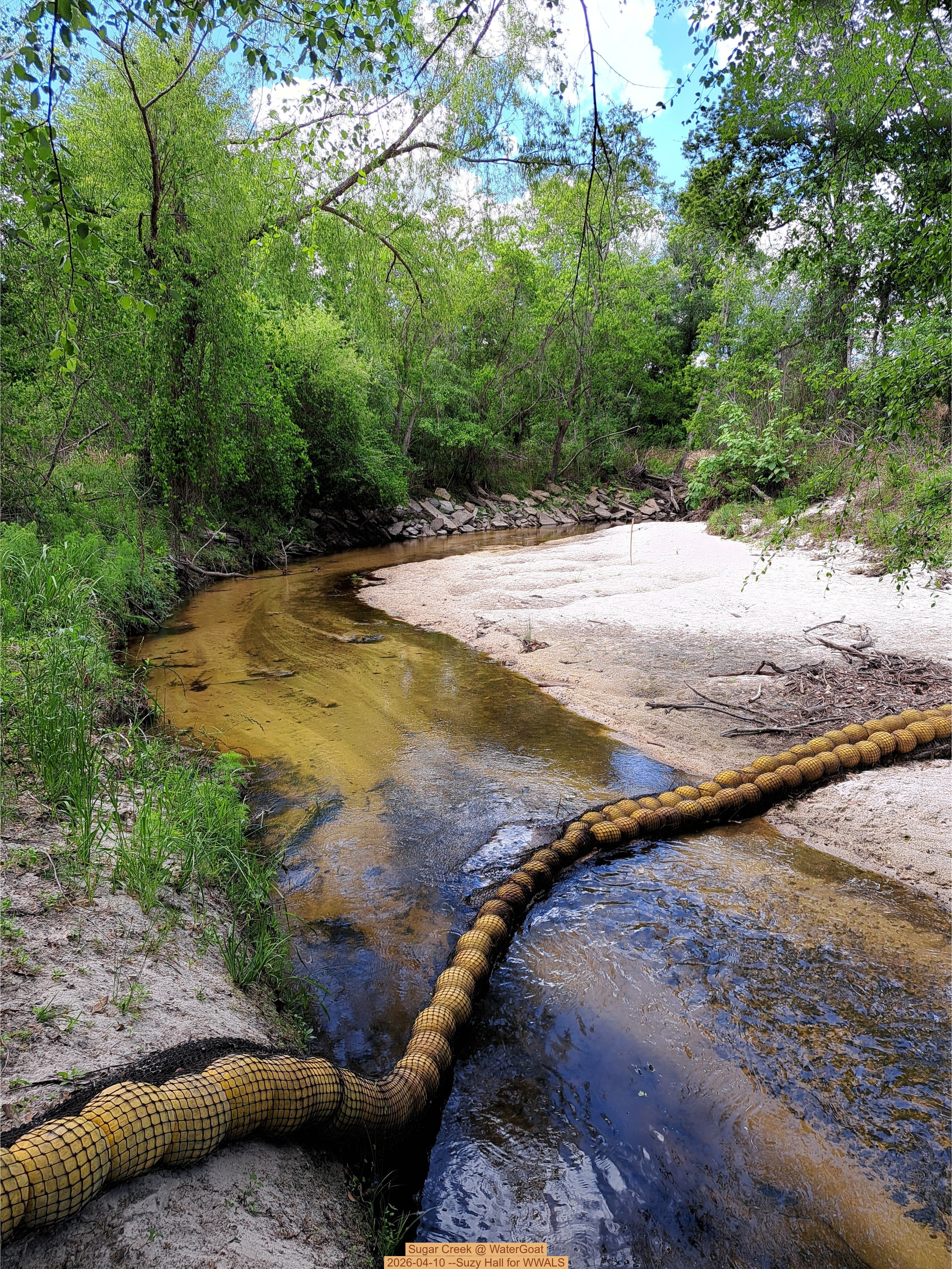 Sugar Creek @ WaterGoat, 2026-04-10 --Suzy Hall for WWALS