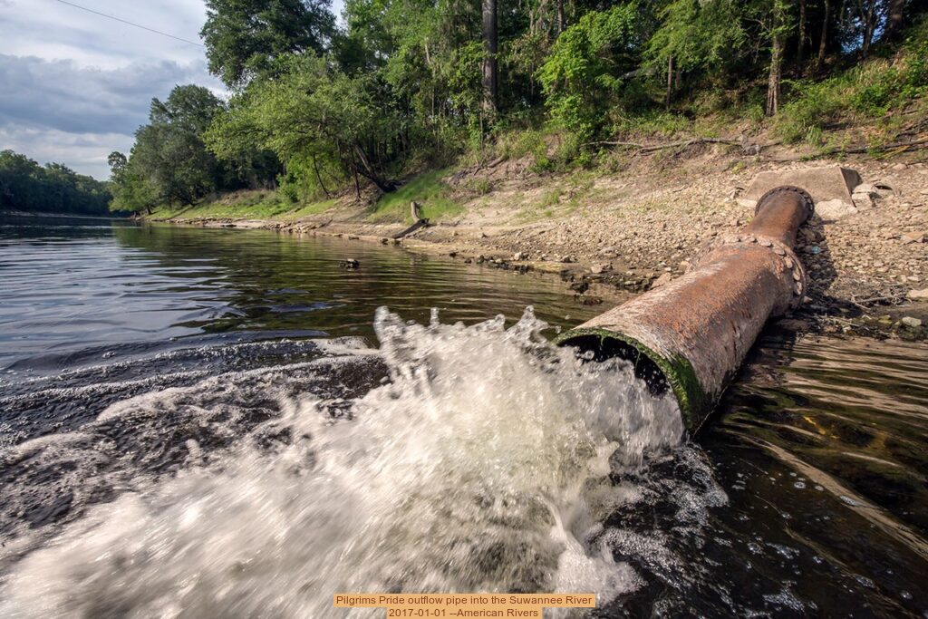 Pilgrims Pride outflow pipe into the Suwannee River, 2017-01-01 --American Rivers