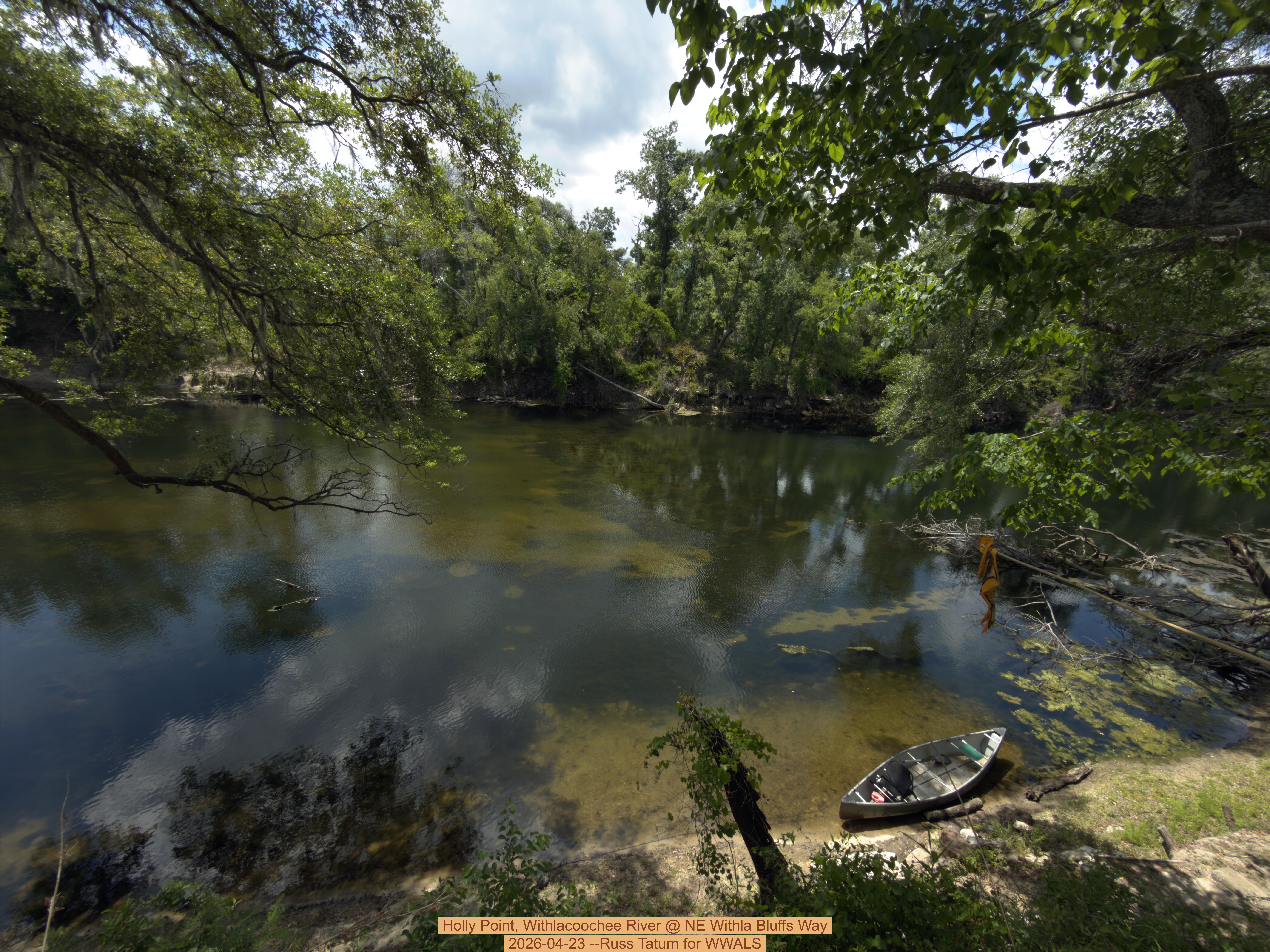 Holly Point, Withlacoochee River @ NE Withla Bluffs Way 2026-04-23 --Russ Tatum for WWALS