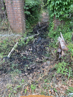 [Standing water on the Valdosta easement, 2026:04:23 15:26:34, 30.8594528, -83.3189083 --Gretchen Quarterman for WWALS]