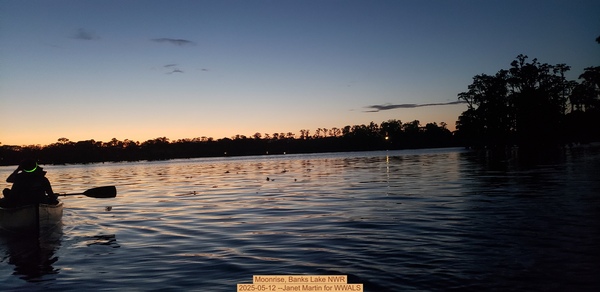 [Moonrise, Banks Lake NWR, 2025-05-12 --Janet Martin for WWALS]