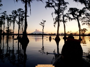 [Into the sky, Banks Lake NWR, 2025-05-12 --Janet Martin for WWALS]