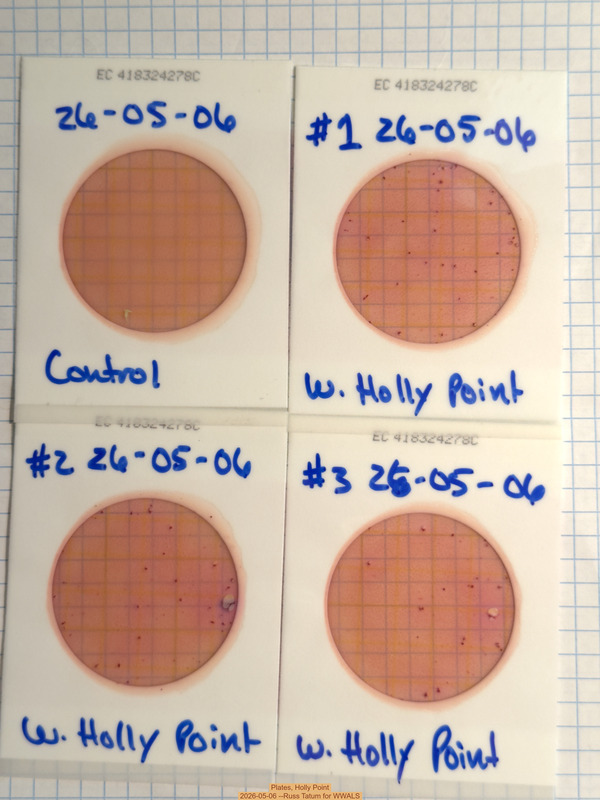 Plates, Holly Point 2026-05-06 --Russ Tatum for WWALS