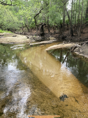 [Downstream, Franklinville, Withlacoochee River @ Frankinville Road 2026-04-30 --Cindy Vedas for WWALS]