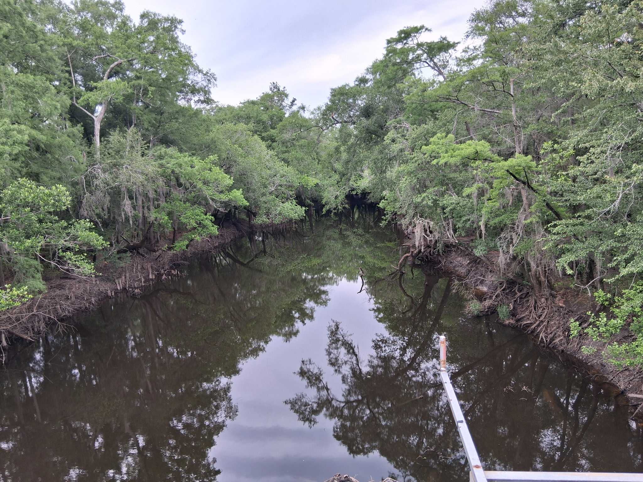 Sheboggy Boat Ramp, Alapaha River @ US 82 2026-05-08 --Heather Brasell for WWALS