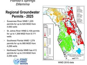 [Florida Springs Dilemma: Regional Groundwater Permits - 2025]
