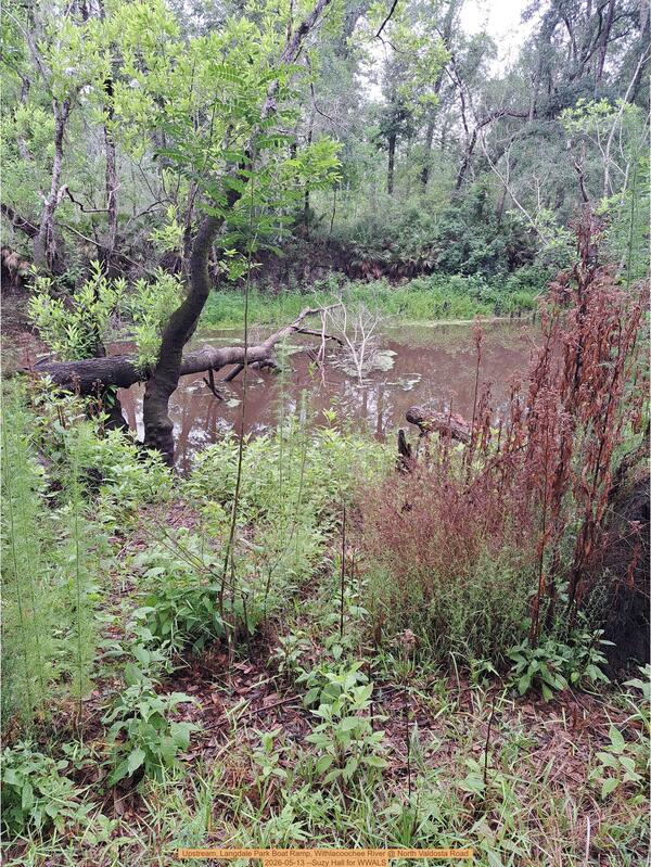 Upstream, Langdale Park Boat Ramp, Withlacoochee River @ North Valdosta Road 2026-05-13 --Suzy Hall for WWALS