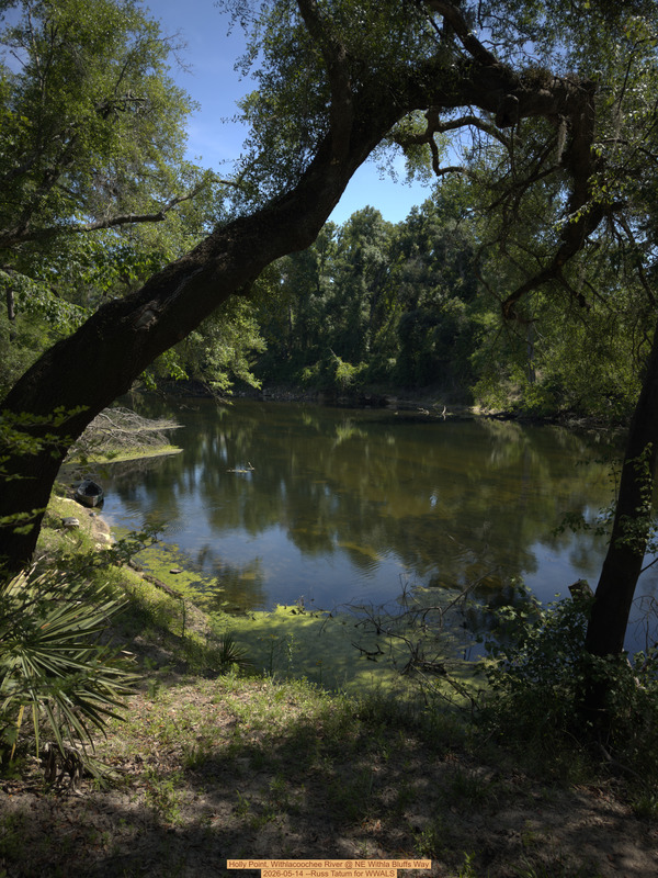[Holly Point, Withlacoochee River @ NE Withla Bluffs Way 2026-05-14 --Russ Tatum for WWALS]