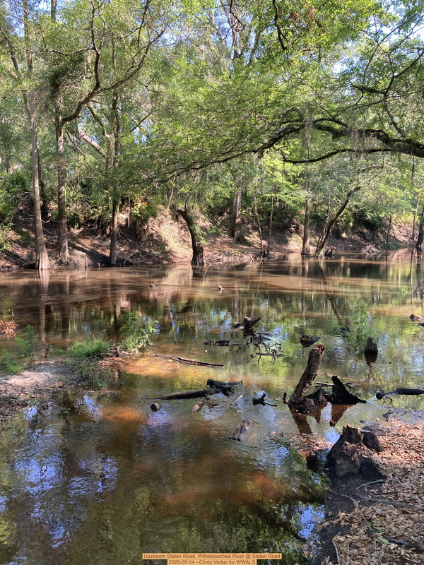 Upstream Staten Road, Withlacoochee River @ Staten Road 2026-05-14 --Cindy Vedas for WWALS