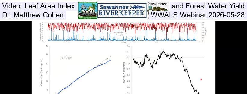 Video: Leaf Area Index and Forest Water Yield, Dr. Matthew Cohen, WWALS Webinar 2026-05-28