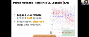 [Paired Wetlands --Reference Vs. Logged LAI, 2026-05-28 --Dr. Matt Cohen in WWALS Webinar]