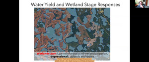 [Water Yield and Wetland Stage Responses, 2026-05-28 --Dr. Matt Cohen in WWALS Webinar]