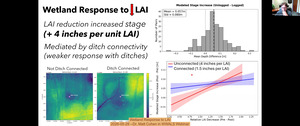 [Wetland Response to LAI, 2026-05-28 --Dr. Matt Cohen in WWALS Webinar]