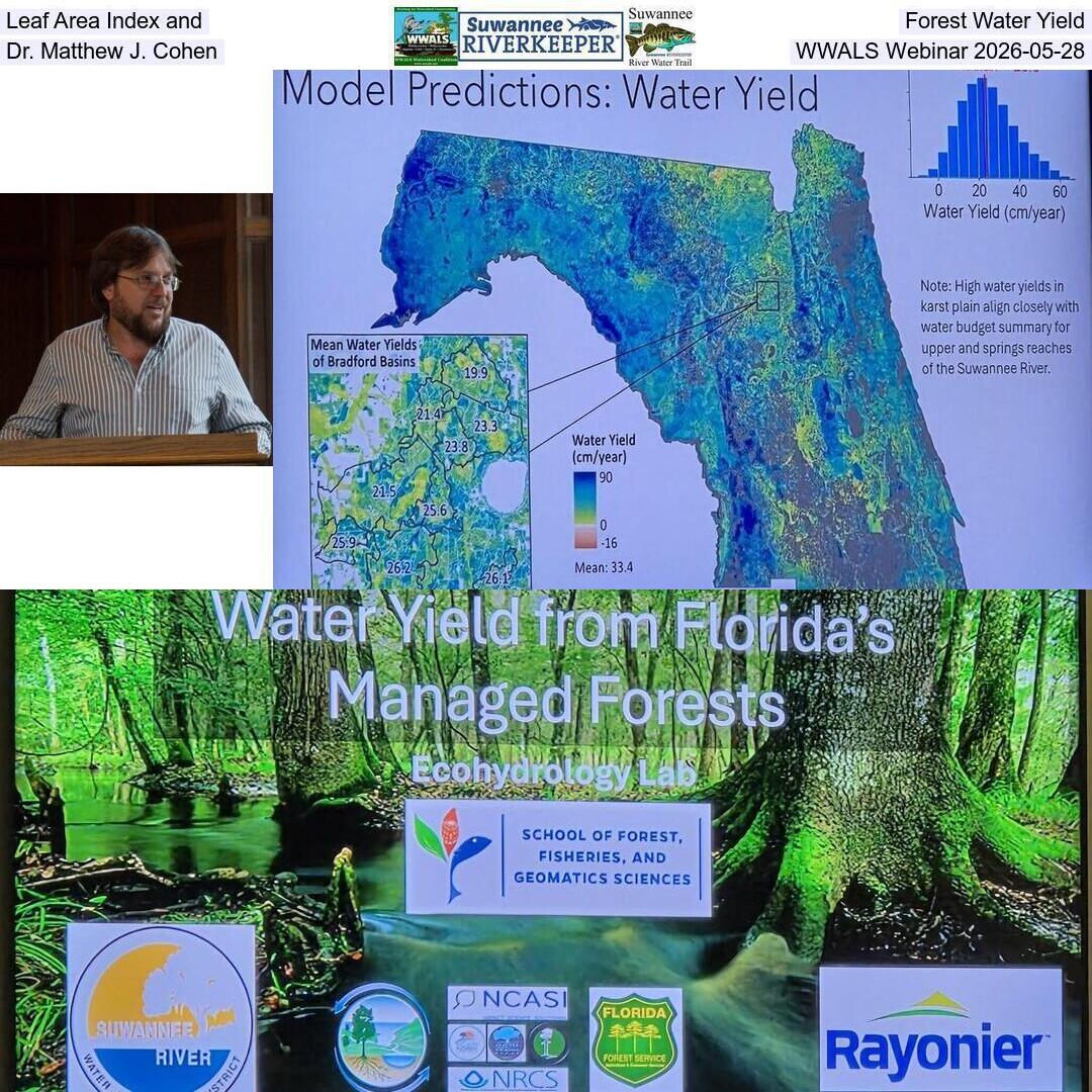 Leaf Area Index and Forest Water Yield, Dr. Matthew J. Cohen, WWALS Webinar 2026-05-28