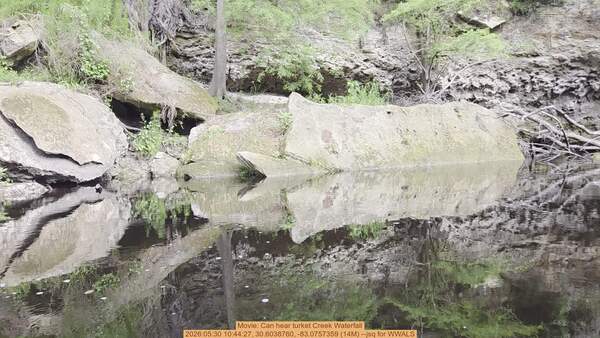 Movie: Can hear turket Creek Waterfall, 2026:05:30 10:44:27, 30.6038760, -83.0757359 (14M) --jsq for WWALS