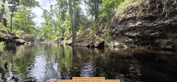 Downstream to a former obstacle, 2026:05:30 12:43:36, 30.6086405, -83.0750322 --jsq for WWALS