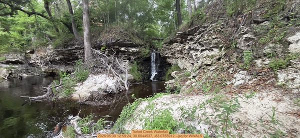 [Turket Creek Waterfall, 2026:05:30 12:59:24, 30.6044537, -83.0755912 --jsq for WWALS]