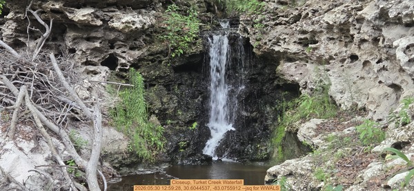 Closeup, Turket Creek Waterfall, 2026:05:30 12:59:28, 30.6044537, -83.0755912 --jsq for WWALS