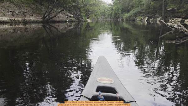 Movie: Back on the Alapaha approaching Sasser Landing, 2026:05:30 13:08:41, 30.5705163, -83.0745581 (24M) --jsq for WWALS