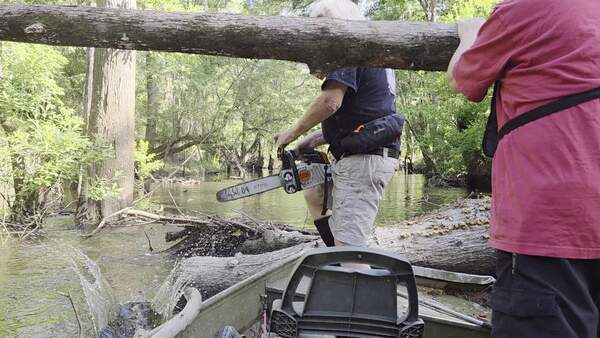 Movie: First chainsawing, 2026:06:07 10:10:27, 30.8531645, -83.3359255 (36M)