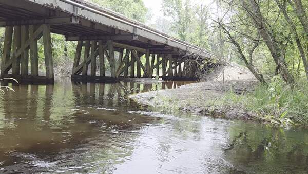 [Movie: Buzzards at the NSRR Bridge, 2026:06:07 12:42:48, 30.8668238, -83.3206664 (9.6M)]