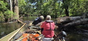 [Sawing into the water, 2026:06:07 10:36:50, 30.8531806, -83.3359460]