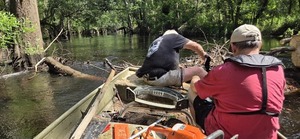 [More water sawing, 2026:06:07 10:38:11, 30.8531806, -83.3359467]