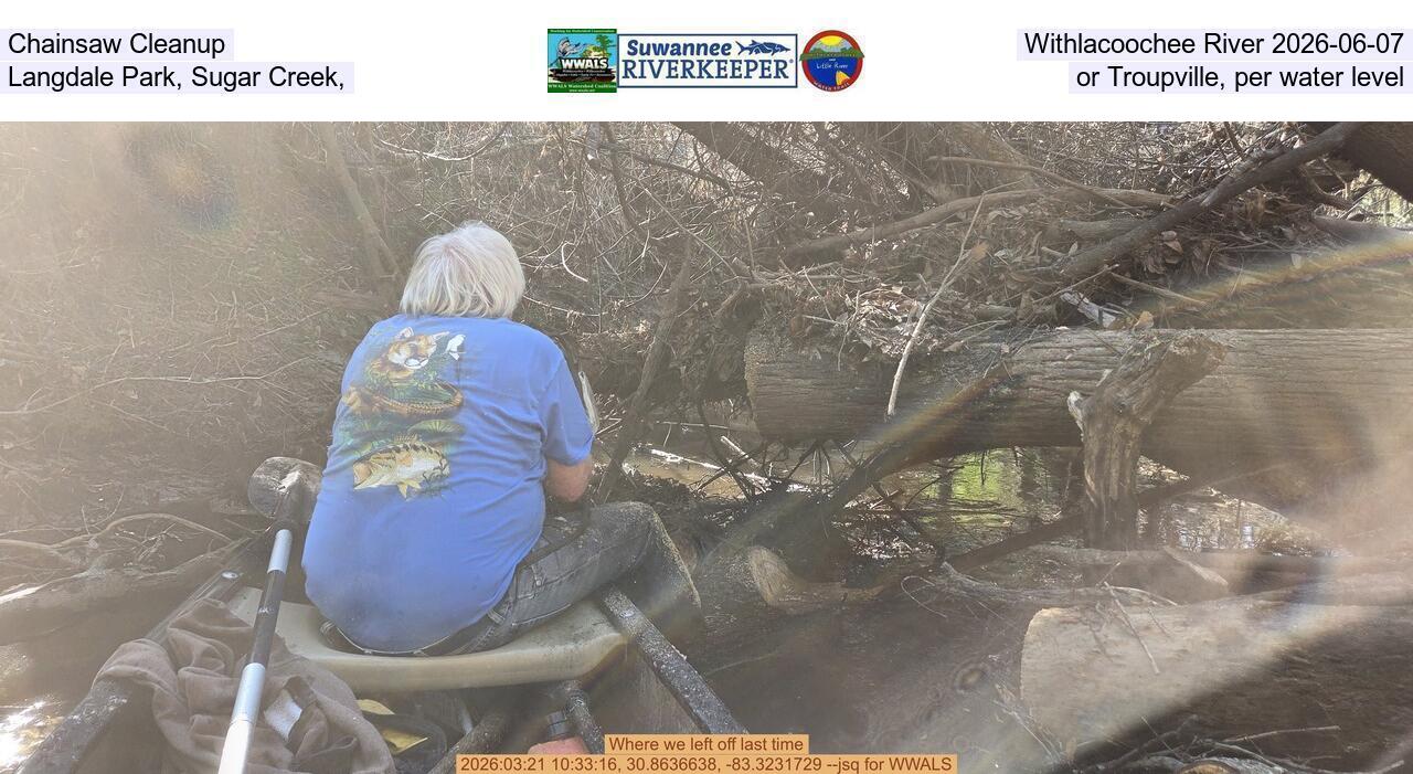 Chainsaw Cleanup, Withlacoochee River 2026-06-07, Langdale Park, Sugar Creek, or Troupville, per water level