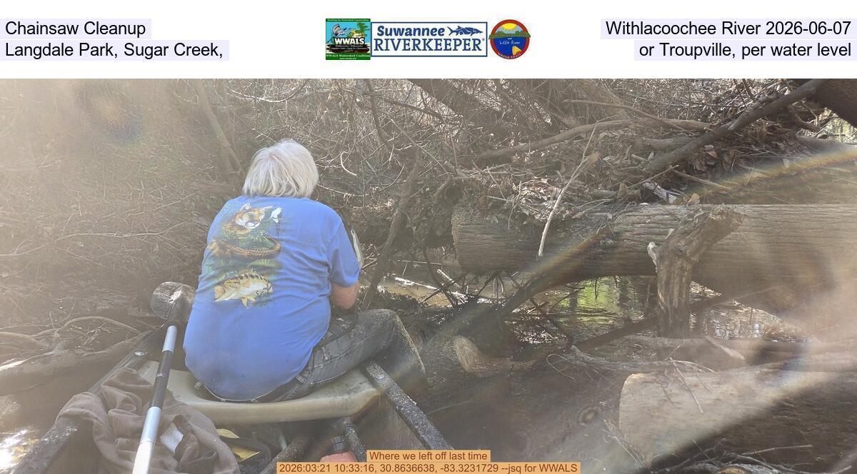Chainsaw Cleanup, Withlacoochee River 2026-06-07, Langdale Park, Sugar Creek, or Troupville, per water level