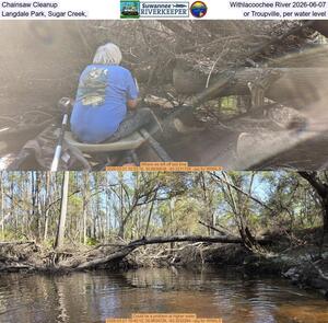 [Chainsaw Cleanup, Withlacoochee River 2026-06-07, Langdale Park, Sugar Creek, or Troupville, per water level]