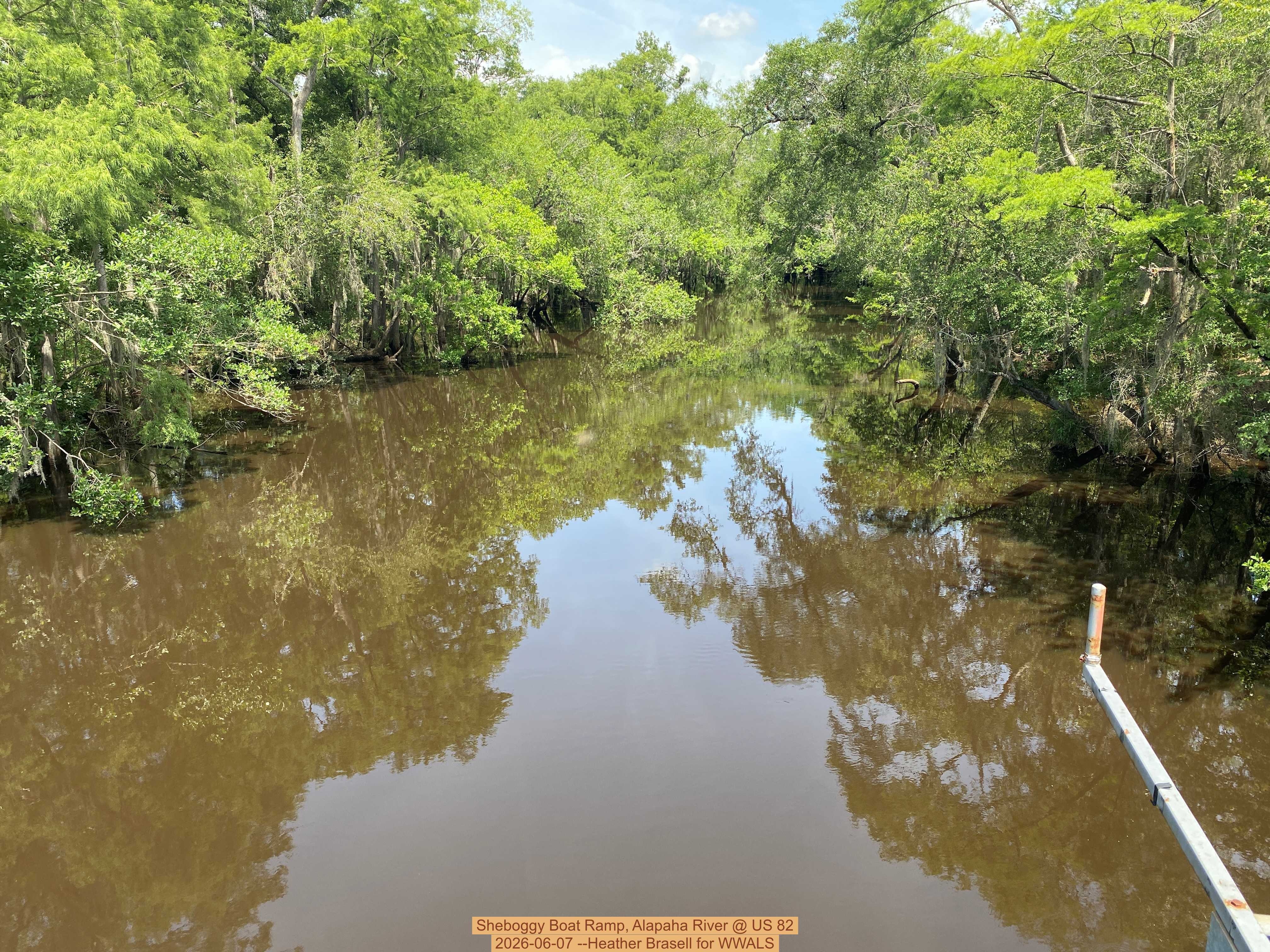 Sheboggy Boat Ramp, Alapaha River @ US 82 2026-06-07 --Heather Brasell for WWALS