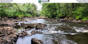 [Statenville to Sasser Landing, Alapaha River 2026-06-13, Jennings Defeat Shoals, Turket Creek Waterfall]